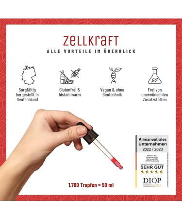 NATURTREU Vitamin B12 Drops 2-Pack - 2x50ml Vegan Methylcobalamin & Adenosyl 250g - Alcohol-Free Cell Power Supplements - Buy Online on GoSupps.com