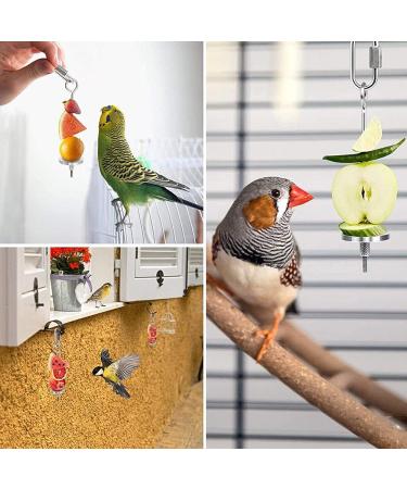 Stainless Steel Parrot Fruit Holder - 2 Pack Vegetable & Fruit Tools for Bird Cages - Buy Online on GoSupps.com