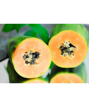 Pharmos Natur Papaya Kernels PapayaVera Vegan 15g | Organic Gluten-Free for Digestion & Fresh Breath - Buy Online on GoSupps.com