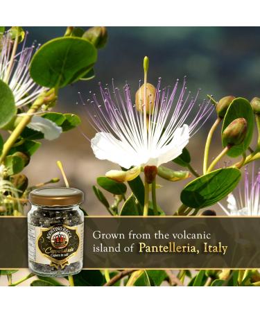 Agostino Recca Capers in Sea Salt - Premium Pickled Capers for Sauces, Meats & Garnishes (2.2 oz) - Buy Online on GoSupps.com