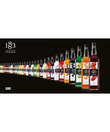  1883 MAISON ROUTIN 1883 Hazelnut syrup 1 L - Buy Online on GoSupps.com