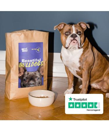 Buy Hey Holy 7kg Grain-Free Bulldog Dry Food with 40% Salmon - Premium Animal Protein for Adult Dogs - Buy Online on GoSupps.com