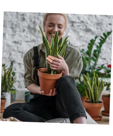 8 Pairs Silicone Finger Protectors - Reusable Anti-Cutting Finger Covers for Ultimate Protection | Durable Finger Sleeves 1.5x1.5cm - Buy Online on GoSupps.com