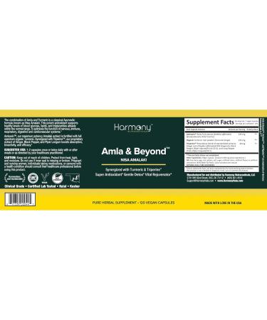 Amla & Beyond (Nisa Amalaki) Dr. Gumman's Clinical Grade Highest Potency Maximum Bioavailability - Buy Online on GoSupps.com