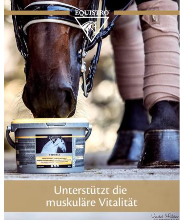 Equistro Triforce Powder 600g for Horses - Buy Online on GoSupps.com