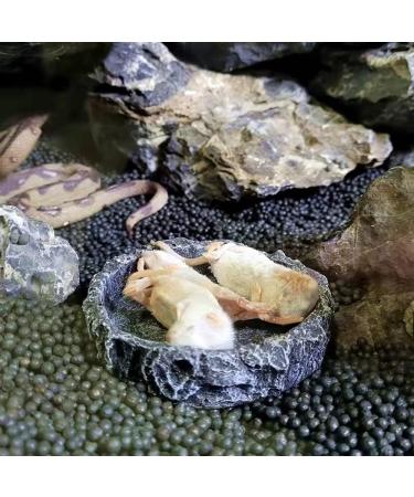 NA 2 Pcs Reptile Food Bowl Reptile Feeder Pet Aquarium Ornament Terrarium Feeder Resin Dish Lizard Feeder Food Bowl Rock Food Water Dish for Tortoise Lizard Chameleon Gecko - Buy Online on GoSupps.com