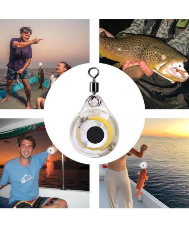 Missmisq Drop Fishing Lights | Waterproof Night Fishing Bait Light for Sweet & White Fish - Buy Online on GoSupps.com