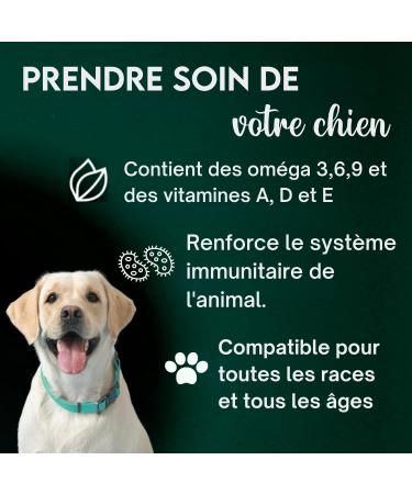 DISANE Cod Liver Oil for Dogs | 500 ML | Natural Supplement for Joint and Coat Care | Source of Omega 3 and Vitamins for Dogs - Buy Online on GoSupps.com