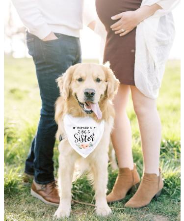 MaySunset Promoted to Big Sister White Flower Pattern Pet Dog Triangle Scarf Bandanas Bibs Gender Revealing Photo Props Accessories Pet Dog Lovers Gifts - Buy Online on GoSupps.com