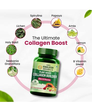 Himalayan Organics Organic Collagen Builder for Hair and Skin with Biotin and Vitamin C 90 Veg Capsules - Buy Online on GoSupps.com