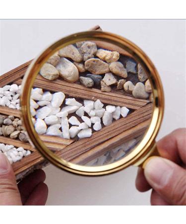 Spacmirrors Magnifying Glass Hd Lens Identification Cylinder Identification Watches DIY Crafts Carving 6X Handheld Magnifying Glass Wood Handle for Scale Measurement Magnifier - Buy Online on GoSupps.com