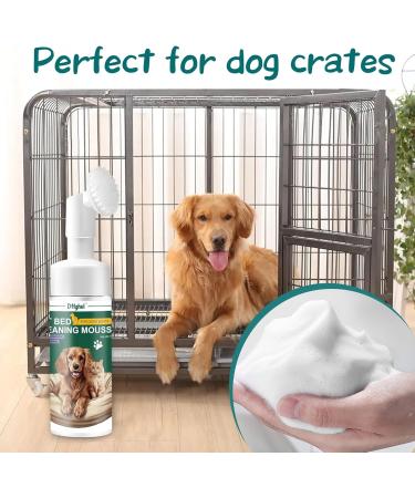Dffghul Highly Effective Pet Bed Cleaner Pet Stain and Odor Remover for Carpet Carpet Foaming Cleaner and Pet Bed Stain Remover-No Rinse Foam Cleaning Suitable for Carpet and Pet Bed - Buy Online on GoSupps.com