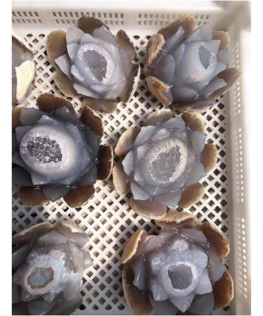 Natural Agate Geode Crystals Feng Shui Druzy Gemstones Quartz Water Lotus Ornament for Home Decoration qiangang - Buy Online on GoSupps.com