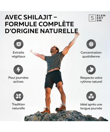  5 elementum Shilajit Original Shilajit Rubbers 2200mg - Premium Quality Shilajit Rubber with Lion's Mane Reishi Chaga & Cordyceps - Himalayan Shilajit for Energy & Energy - Buy Online on GoSupps.com