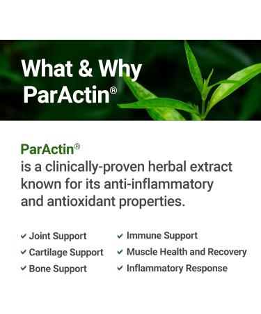 AceBiome AnaParactin 60 Serving (180 Tablets) - Buy Online on GoSupps.com