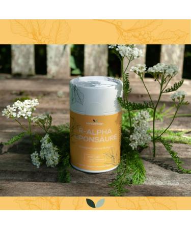 R-Alpha Lipoic Acid 400 mg per capsule | 120 capsules | High dosed | in particularly high bioavailability | Vegan | 100% ecological paper packaging - Buy Online on GoSupps.com