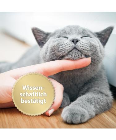 Felisept Home Comfort Catnip Spray 100ml - Natural Sedative & Anti-Scratch Solution for Cats - Buy Online on GoSupps.com