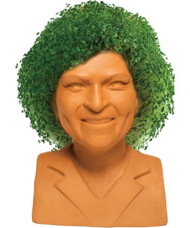 Joseph Enterprises Inc Golden Girls Chia Pet Rose Decorative Pottery Planter Golden Girls Rose - Buy Online on GoSupps.com