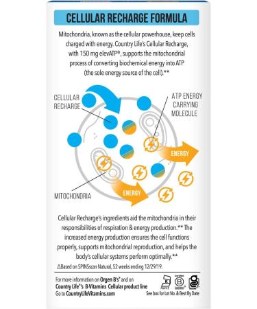 Country Life Whole Food B-Vitamin Cellular Recharge - 30 Vegan Capsules for Energy & Vitality - Buy Online on GoSupps.com