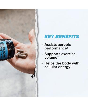 ONNIT Cognitive & Endurance Performance Bundle: Alpha Brain Nootropic Capsules (90 Count) + Shroom Tech Sport Capsules (84 Count) IGEN Non-GMO Tested Focus & Endurance Pack of 2 - Buy Online on GoSupps.com