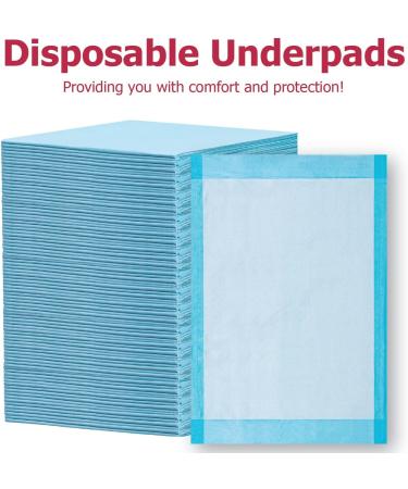 Dealmed Economy Absorbency Medical Underpads 100 Count | 2-Ply Tissue Fill for Pet Pads and Furniture Protection | 17 x 24 Blue Barrier | 1 Pack - Buy Online on GoSupps.com