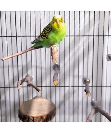Deloky 8PCS Natural Wood Bird Perch Stand for Parrotlets, Budgies, Cockatiels - Wooden Platform Cage Accessories for Parakeets & Lovebirds - Buy Online on GoSupps.com