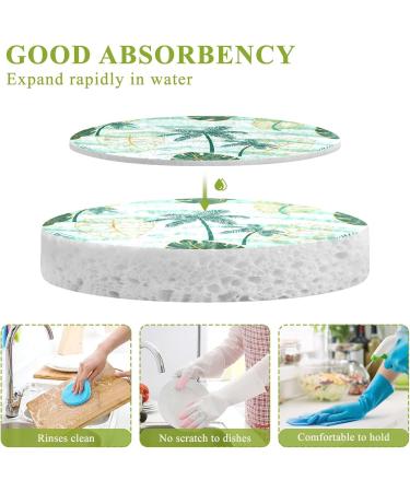 3-Pack Cleaning Kitchen Sponges Oval Tropical with Palm Tree and Leaves Kitchen Cellulose Dishwashing Wood Pulp Cotton - Buy Online on GoSupps.com