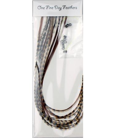 10 Feather Hair Extensions Real Feathers 22-28 cm with Rings/Loops (Auburn Naturals)