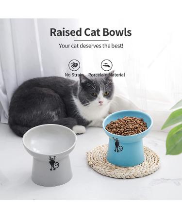 TAMAYKIM 8oz Tilted Ceramic Raised Cat Bowls Set - Blue & Grey | Porcelain Elevated Feeding Dish for Kitty | Stress-Free, Dishwasher & Microwave Safe | 2-Pack - Buy Online on GoSupps.com