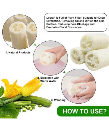 6 Pieces Natural Luffa Sponge Set | Exfoliate Dead Skin Ideal for Bath Shower & Kitchen Scrub | Eco-Friendly Personal Care & Decoration - Buy Online on GoSupps.com