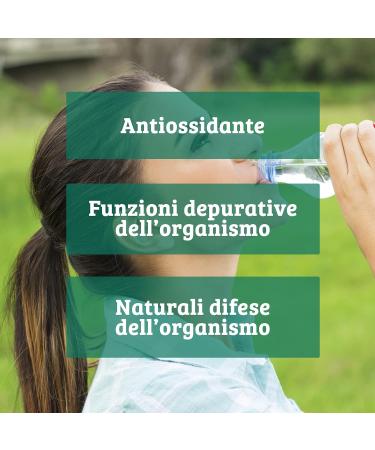 Bio Chlorella - Organic Chlorella Supplement 200 Tablets - Promotes the Purifying Functions of the Body - 100g - Buy Online on GoSupps.com