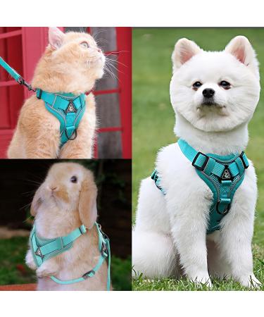 FINEASY Green Cat Harness & Lead Set with Reflective Strip - Adjustable & Escape Proof Kitten Vest Harness for Walking - Ideal for Pet Kitten, Dog, Rabbit - Size M - Buy Online on GoSupps.com