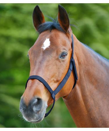 Waldhausen Night Blue Pasture Halter for Thoroughbreds - High Quality eCommerce Shipping Worldwide - Buy Online on GoSupps.com