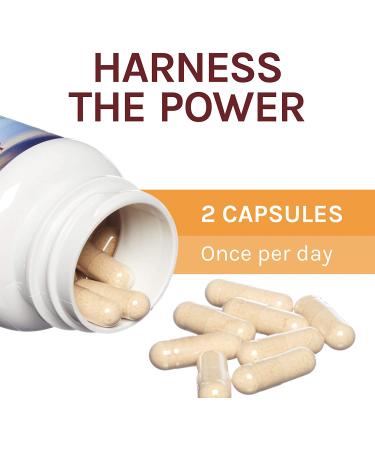 Fungi Perfecti Chaga Mushroom Capsules - 60 Vegetarian Supplements for Immune Support - Buy Online on GoSupps.com