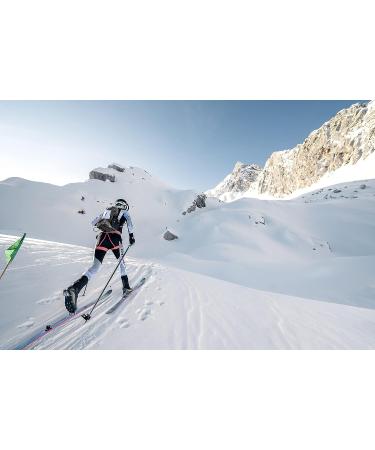 POMOCA Race Pro 2.0 Climbing Skin 155cm - Ideal for Backcountry Skiing and Randonee Racing - Buy Online on GoSupps.com