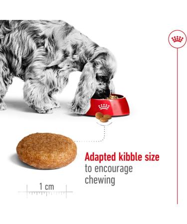 Royal Canin Medium Adult 4 kg - Buy Online on GoSupps.com