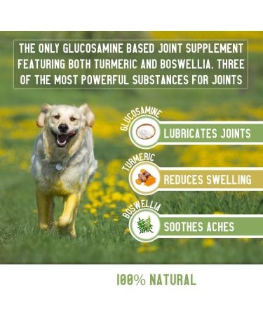 Wagmore Dog Hip & Joint Care Supplements | 120 Tablets with Glucosamine, Chondroitin, Turmeric & Vitamins | Supports Joint Health in Adult/Senior Dogs - Buy Online on GoSupps.com