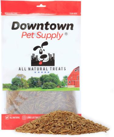 Downtown Pet Supply Dried Mealworms - 100% Natural Treats for Wild Birds, Chickens, Reptiles & Fish - Buy Online on GoSupps.com
