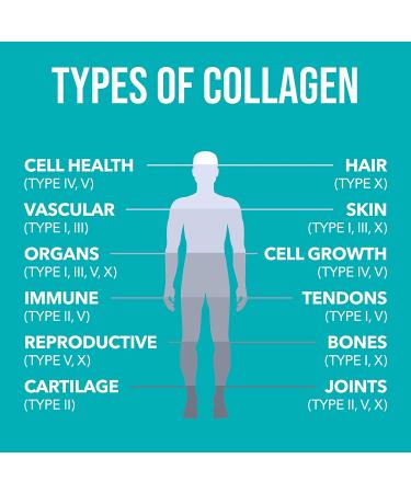 Nature's Plus Collagen Peptides 1.30 lbs - Premium Beauty & Wellness Supplement - Buy Online on GoSupps.com