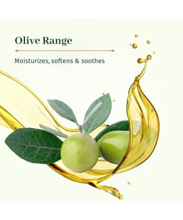Le Petit Olivier Moisturizing Day Skin Care | Olive Oil-Enriched Soothing & Hydrating | Natural Ingredients | Silicone Free | For Normal to Dry Skin | 1.6 oz - Buy Online on GoSupps.com