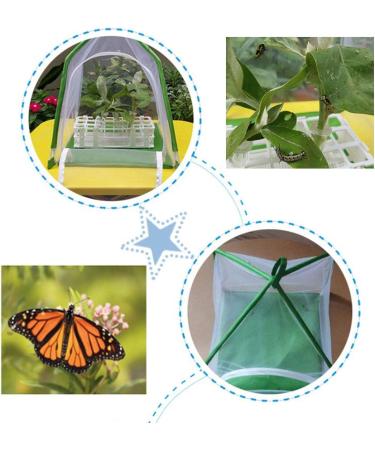 Fowybe Insect Habitat | Insect Habitat Cage Catcher Plant Net With Hook | U-Shaped Opening Mesh Net Cage For Caterpillars - Buy Online on GoSupps.com