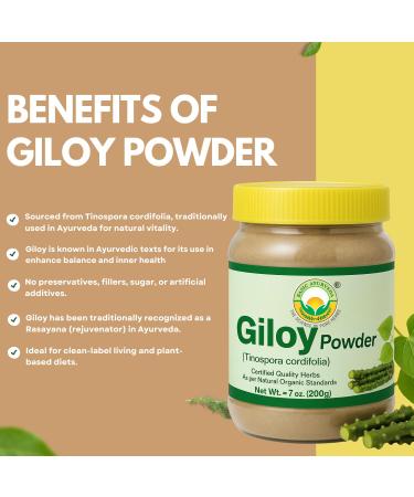 BASIC AYURVEDA Giloy (Guduchi) Powder | 7.05 Oz (200g) | Pure Tinospora Cordifolia Powder for Herbal Tea | Supports Immunity & Energy | No Added Colors & Flavors | Non-GMO Gluten-Free & Vegan - Buy Online on GoSupps.com