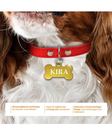 Personalized Bone-Shaped Pendants for Medium to Large Dogs & Cats - Ibera Gifts | Engraved Dog Collar Tags in Gold - Buy Online on GoSupps.com