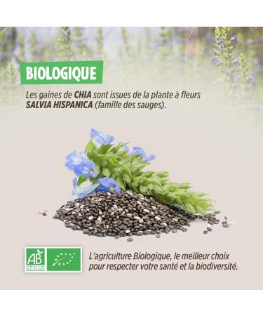 Plan te au Naturel Organic Chia Seeds - 500g (Salvia hispanica) - Buy Online on GoSupps.com