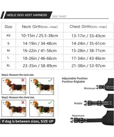 Heele Dog Crockery & Harness for Small Dogs - Front & Back Clip Release - Buy Online on GoSupps.com