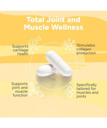 Sunrise Apothecary Joint Health Optimum Levels of Glucosamine Chondroitin and MSM Joint Muscle Supplements 90 Glucosamine and Chondroitin Capsules - Buy Online on GoSupps.com