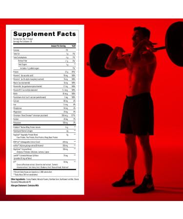 Mdrive Start 9-in-1 Complete Nutrition and Protein Shake Powder Supports Energy Strength Digestion Immune Health Nitric Oxide Recovery and Reduces Stress - Chocolate Mousse 31.7oz 30 Servings - Buy Online on GoSupps.com