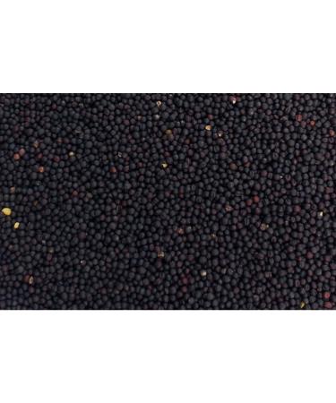 2-in-1 Neck Pillow with Stand-Up Collar - Blue-White Heat & Cold Therapy - Rapeseed Filling for Comfort - Buy Online on GoSupps.com