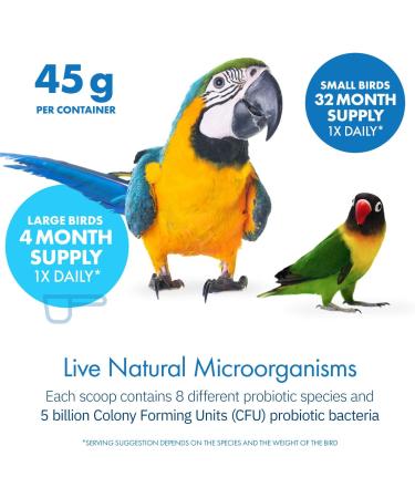 Avian Probiotics for Parrots | All-Natural Digestive System Support | 120 Servings - Buy Online on GoSupps.com