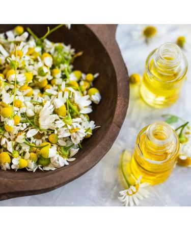  Tazarin LTD 200g Chamomile Flowers - Chamomile Infusion - Matricaria Chamomilla - Intense Aroma & Taste - 100% Natural Pure & No Additives | Top Quality - TazarinLtd - Buy Online on GoSupps.com